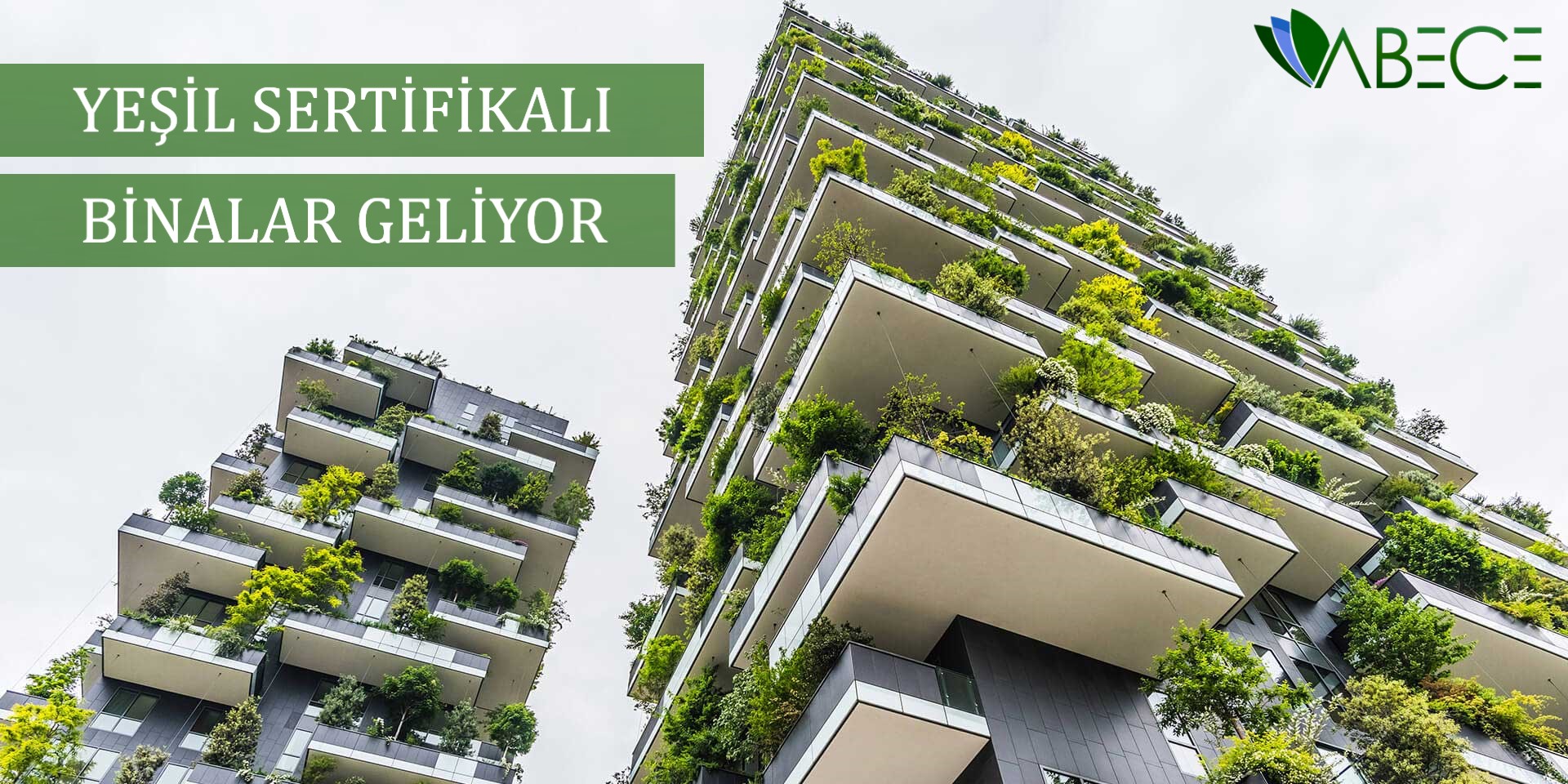 Binalar İle Yerleşmeler İçin Yeşil Sertifika Yönetmeliği Yayımlandı