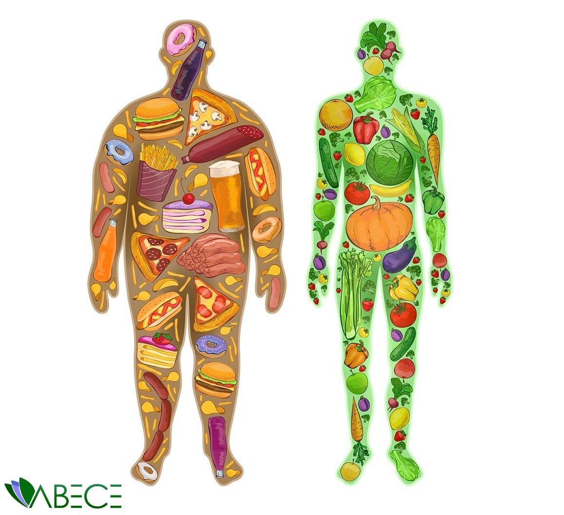 Çevre Kirliliği Obeziteyi Artırıyor