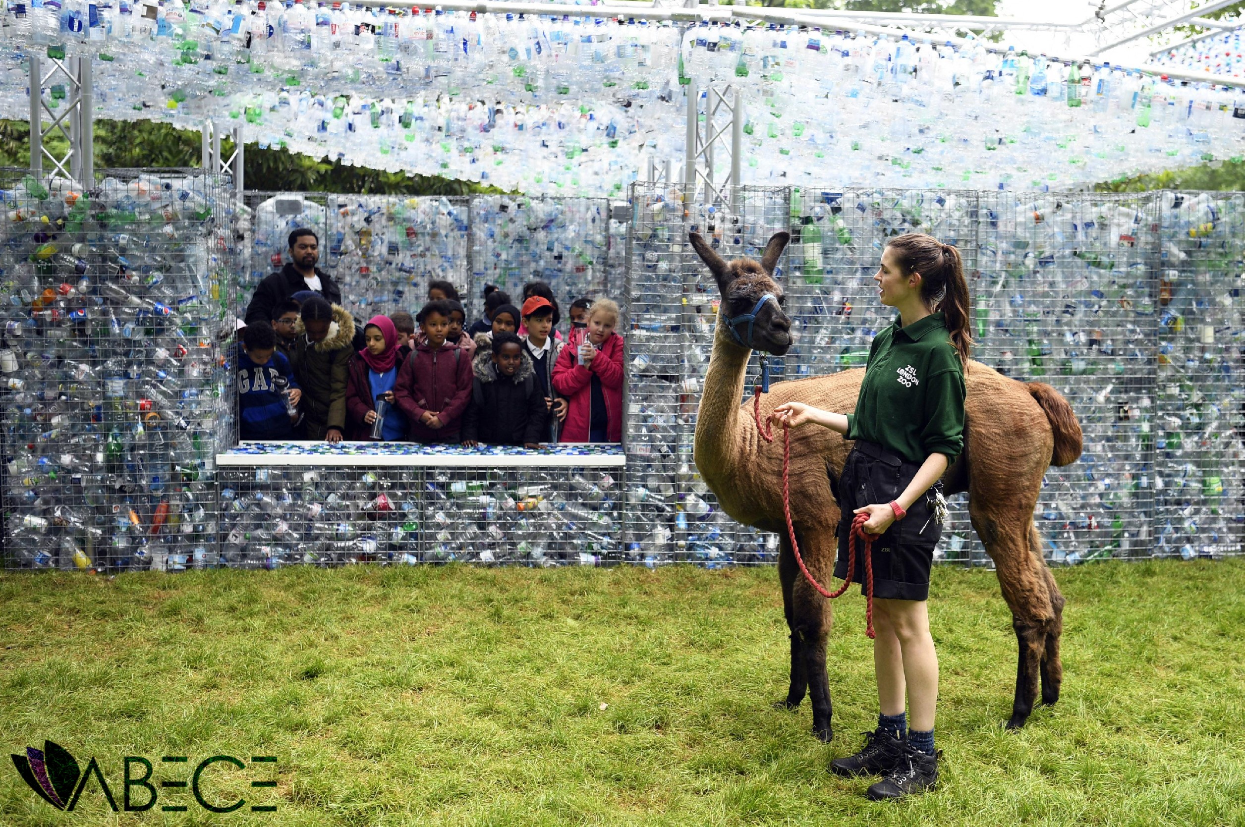 15 Bin Pet Şişe Topladı, Hayvanat Bahçesinde Sergi Açtı